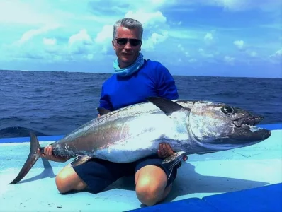 WhatsApp Image 2020-01-08 at 19.33.02.webp