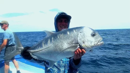 WhatsApp Image 2020-01-15 at 18.05.47.webp