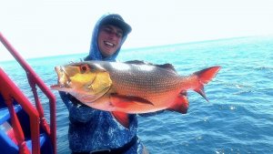 WhatsApp Image 2020-01-15 at 18.05.48.jpeg