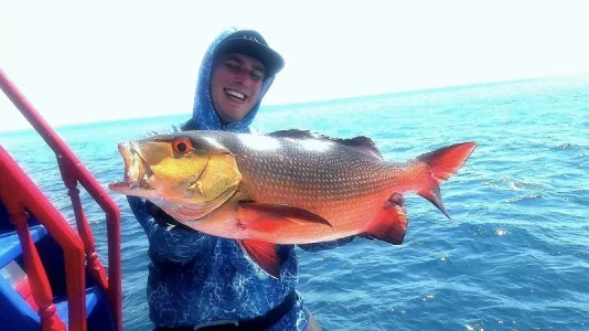 WhatsApp Image 2020-01-15 at 18.05.48.webp