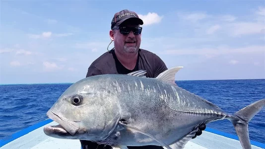 WhatsApp Image 2020-01-15 at 18.36.23.webp