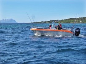 916347C2-ABAA-4137-9564-AE988E8D8D18.jpeg 916347C2-ABAA-4137-9564-AE988E8D8D18.jpeg