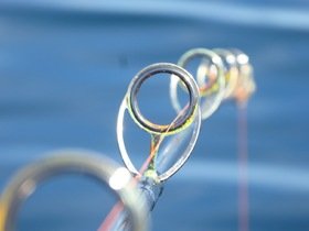 C39A35FE-A77E-4871-B3FA-57A931FA2EA3.jpeg C39A35FE-A77E-4871-B3FA-57A931FA2EA3.jpeg