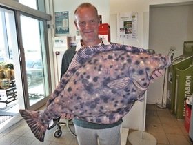 F801CED8-C66E-4723-A04F-C7C7F34E8160.jpeg F801CED8-C66E-4723-A04F-C7C7F34E8160.jpeg