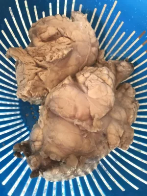 IMG_8798.webp IMG_8798.webp