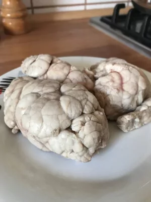 IMG_8801.webp IMG_8801.webp