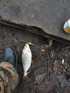 IMG-20200126-WA0001.jpg IMG-20200126-WA0001.jpg