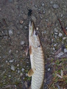 20200128_163406.jpg 20200128_163406.jpg