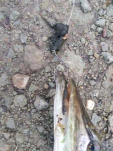 20200128_163410.jpg 20200128_163410.jpg