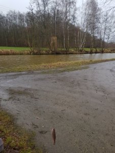 20200128_141826.jpg 20200128_141826.jpg