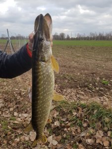 20200129_144521.jpg 20200129_144521.jpg