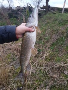 20200129_165619.jpg 20200129_165619.jpg