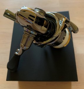 stella4.jpg