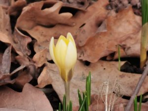 IMG-20200201-WA0001.jpg IMG-20200201-WA0001.jpg