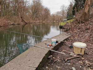 IMG-20200201-WA0000.jpg IMG-20200201-WA0000.jpg