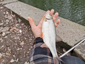 IMG-20200201-WA0004.jpg IMG-20200201-WA0004.jpg