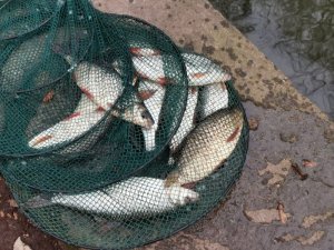 IMG-20200201-WA0003.jpg IMG-20200201-WA0003.jpg