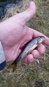 20200202_151633.jpg 20200202_151633.jpg