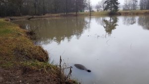 IMG-20200202-WA0010.jpg IMG-20200202-WA0010.jpg