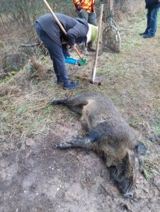 IMG-20200202-WA0014.jpg IMG-20200202-WA0014.jpg