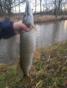 20200203_163534.jpg 20200203_163534.jpg