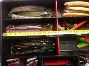 IMG_20200203_195930.jpg IMG_20200203_195930.jpg