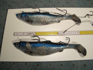 IMG_5754.JPG IMG_5754.JPG