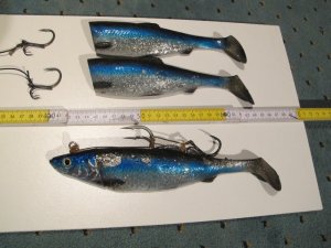 IMG_5755.JPG IMG_5755.JPG