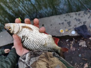 IMG-20200209-WA0001.jpg IMG-20200209-WA0001.jpg