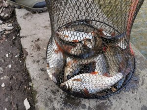 IMG-20200209-WA0002.jpg IMG-20200209-WA0002.jpg