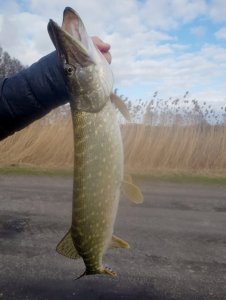 20200212_141426.jpg 20200212_141426.jpg