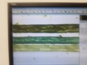 20200212_201621.jpg 20200212_201621.jpg