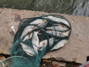 IMG-20200216-WA0001.jpg IMG-20200216-WA0001.jpg