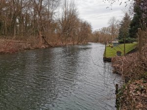 IMG-20200216-WA0002.jpg IMG-20200216-WA0002.jpg