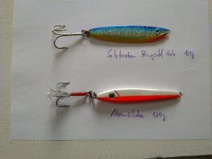IMG_20200221_105912.jpg