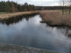 IMG-20200221-WA0000.jpg IMG-20200221-WA0000.jpg