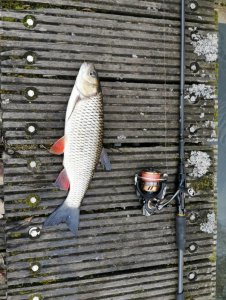 IMG-20200221-WA0001.jpg IMG-20200221-WA0001.jpg