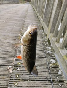 IMG-20200223-WA0009.jpg IMG-20200223-WA0009.jpg