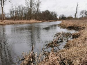 IMG-20200223-WA0010.jpg IMG-20200223-WA0010.jpg