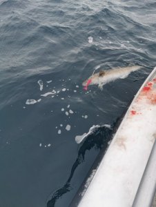 IMG_20200226_124820.jpg