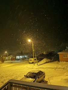 IMG_20200226_184419.jpg
