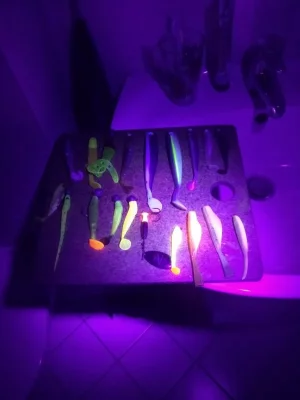 KOOL BEAM UV-Taschenlampe 365 Nm – Zum Erkennen Von Anisakis In Rohem Fisch