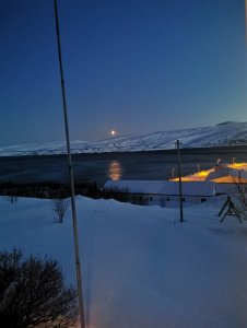 IMG_20200304_052820.jpg IMG_20200304_052820.jpg