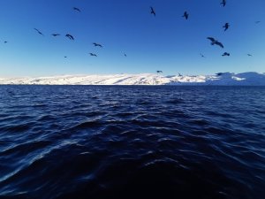 IMG_20200304_075945.jpg IMG_20200304_075945.jpg