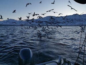 IMG_20200304_080055.jpg IMG_20200304_080055.jpg