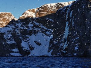 IMG_20200304_082207_1.jpg IMG_20200304_082207_1.jpg