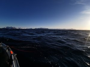 IMG_20200304_090148.jpg IMG_20200304_090148.jpg