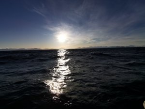 IMG_20200304_090203.jpg IMG_20200304_090203.jpg