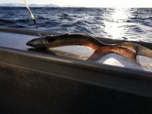 IMG_20200304_094345.jpg IMG_20200304_094345.jpg