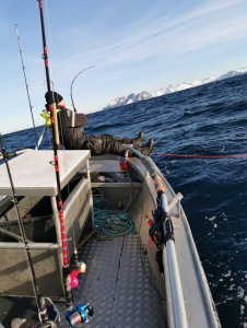 IMG_20200304_102949.jpg IMG_20200304_102949.jpg